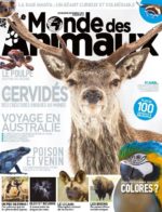 Le Monde des Animaux n°12