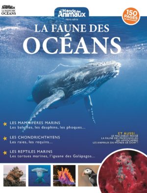 La faune des océans