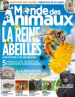 Le Monde des Animaux n°21