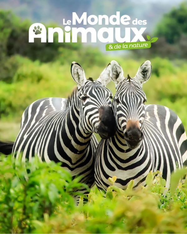 le monde des animaux réabonnement