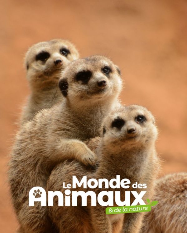 le monde des animaux réabonnement