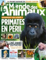 Le Monde des Animaux n°26