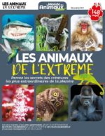 Les Animaux de l'Extrême