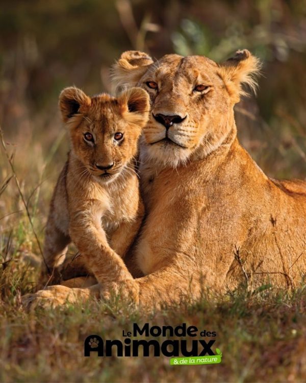 Le Monde des Animaux - Abonnement Essentiel - 1 an - 4 n°