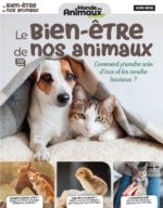 Le Bien-être de nos Animaux