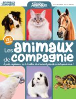 Les Animaux de Compagnie