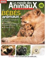 Les bébés animaux