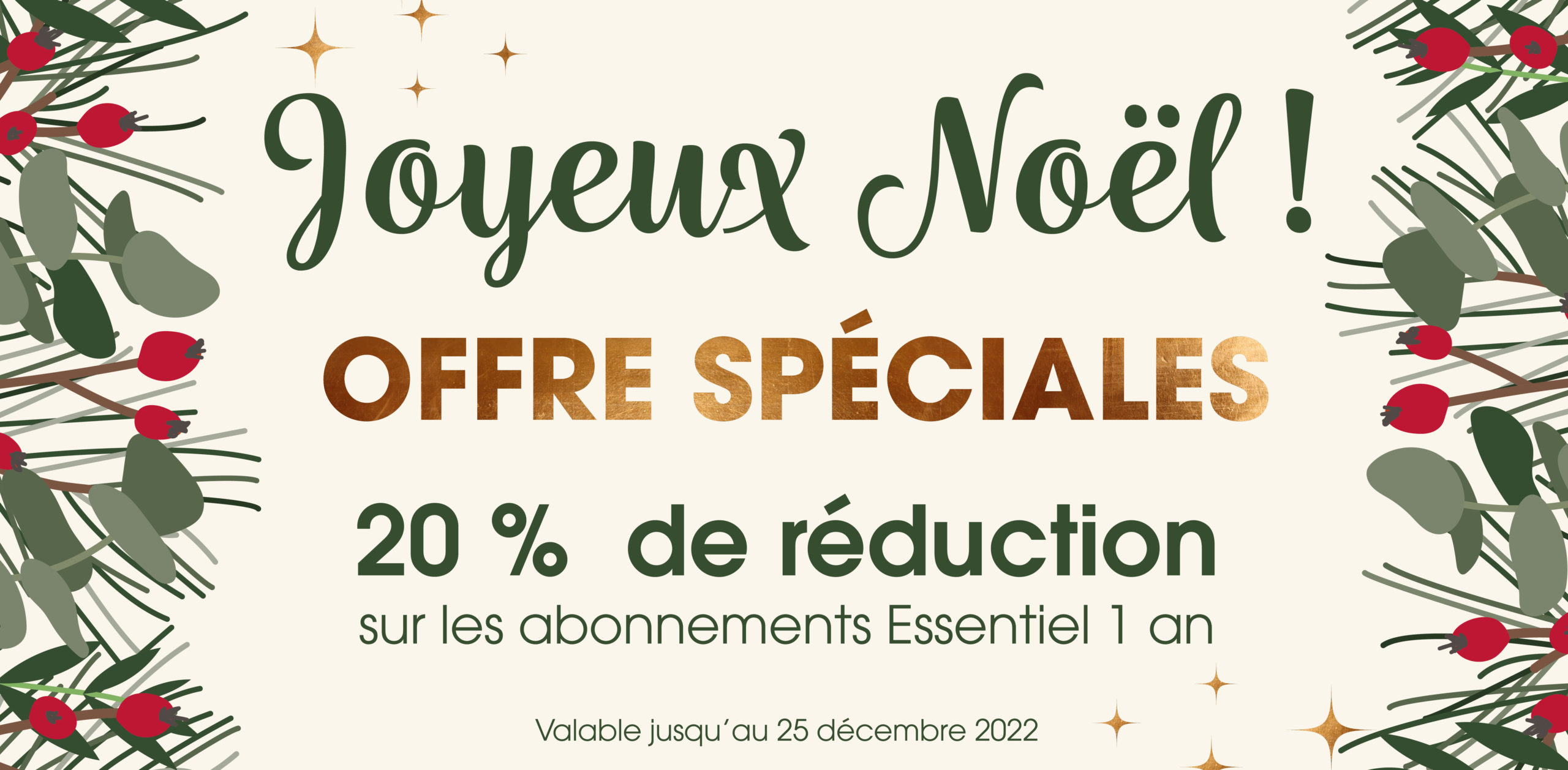 Joyeux Noël !