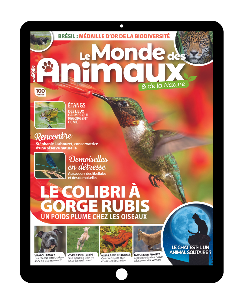 Le Monde des animaux - Abonnement 100% numérique - Sans engagement