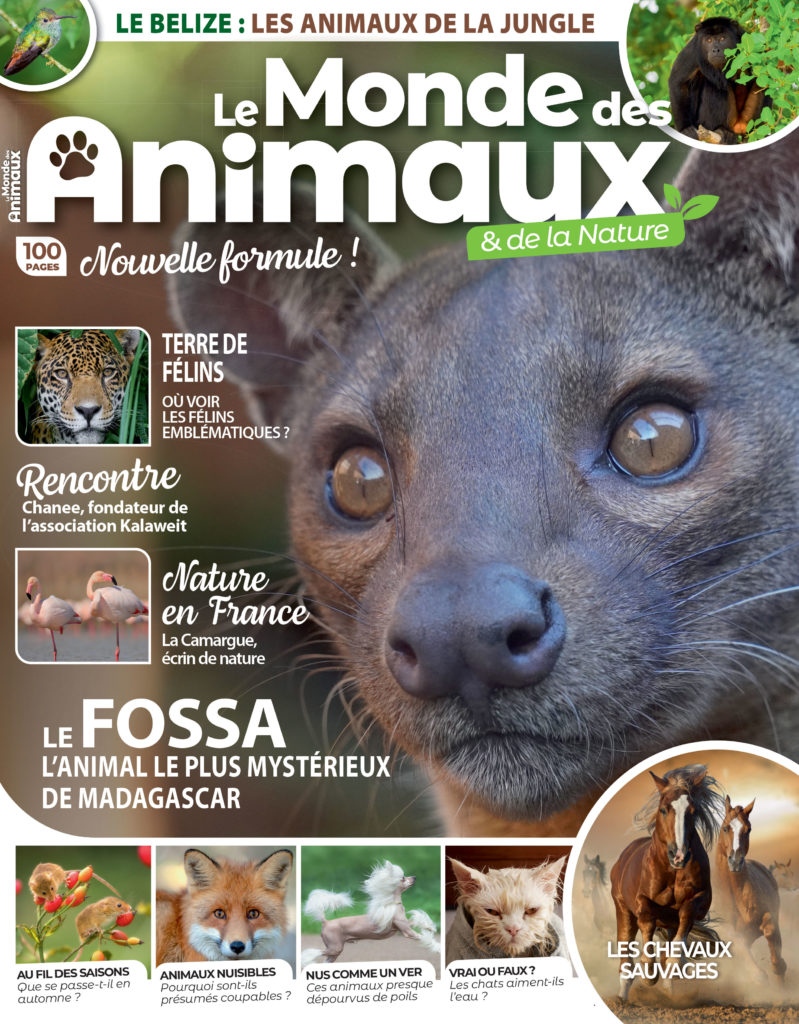 Le Monde des animaux - Réabonnement
