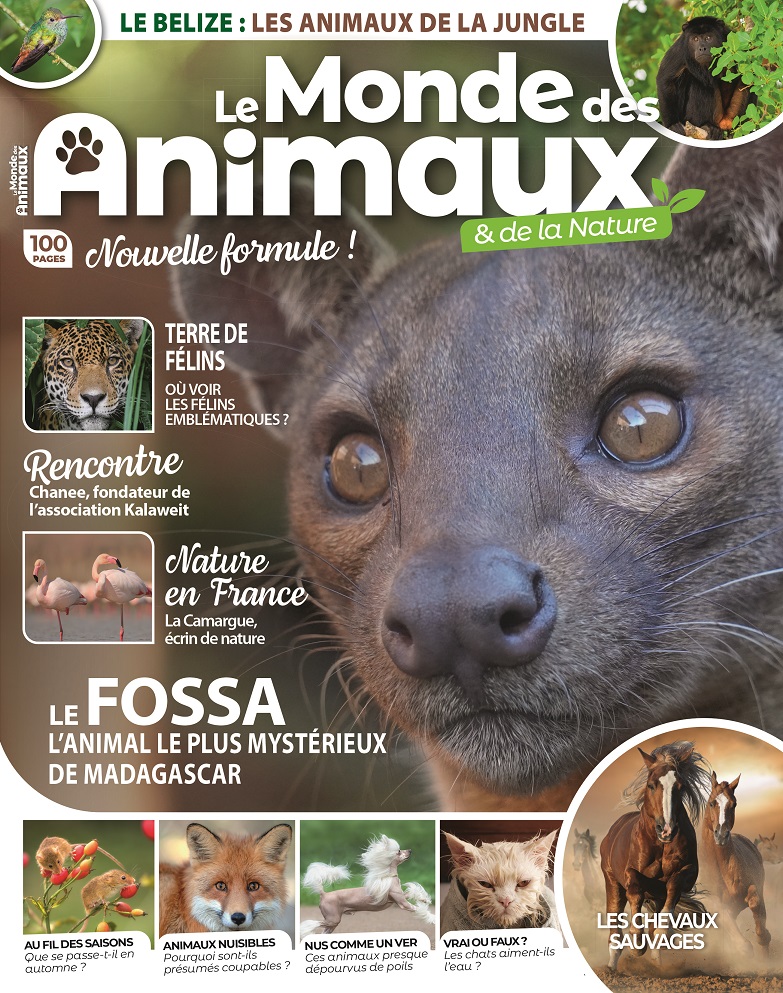 Le Monde des Animaux n°46 – MonMag
