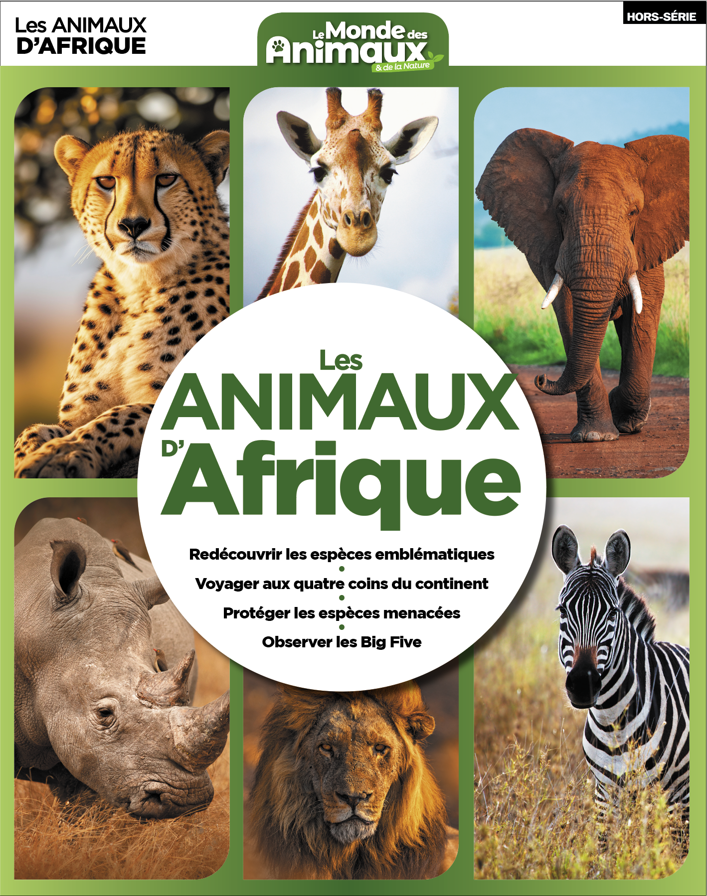 Animaux Africains Animaux Africains Au Coucher Du Soleil Plein | JPG