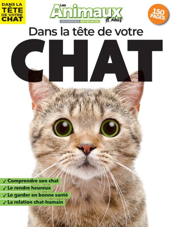 Dans la tête de votre chat