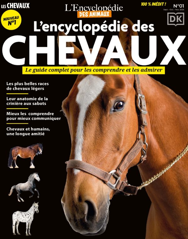 L'encyclopédie des chevaux