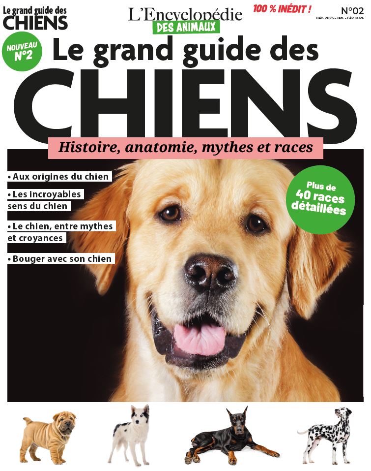 Le grand guide des chiens