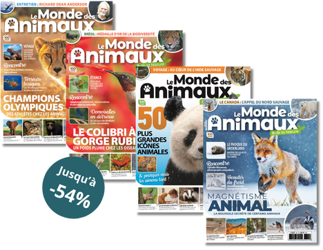 le monde des animaux offre abo