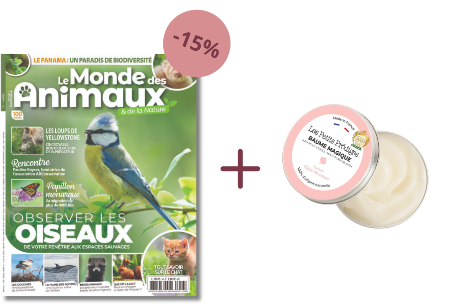abo le monde des animaux