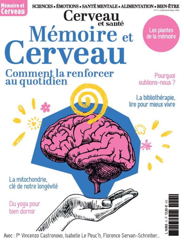 Cerveau et santé n°11