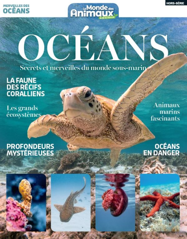 Merveilles des océans