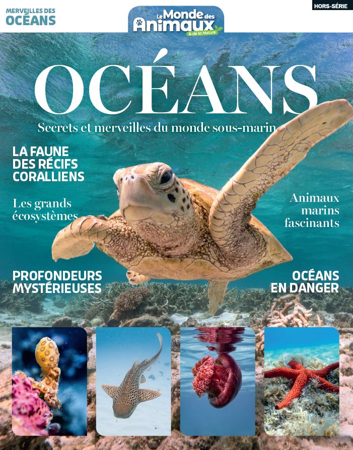 Merveilles des océans