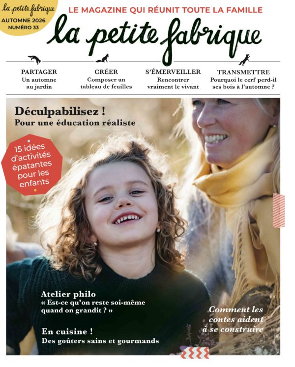 La Petite Fabrique n°33 - Version numérique