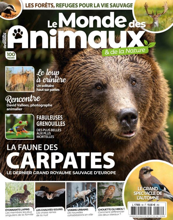 Le Monde des Animaux n°58