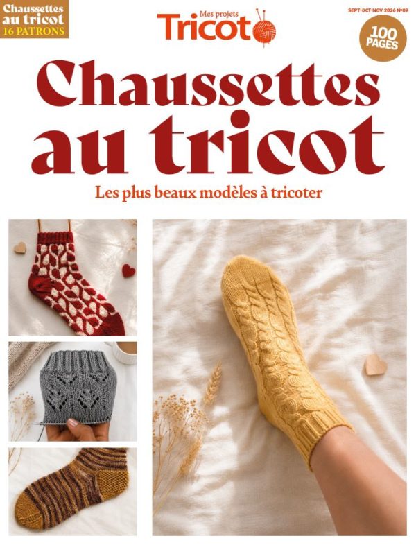 Mes projets tricot n°09